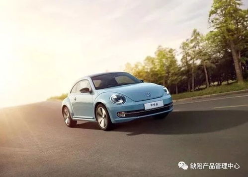 中国有多少款汽车