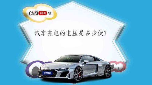 如何看出汽车电瓶多少伏