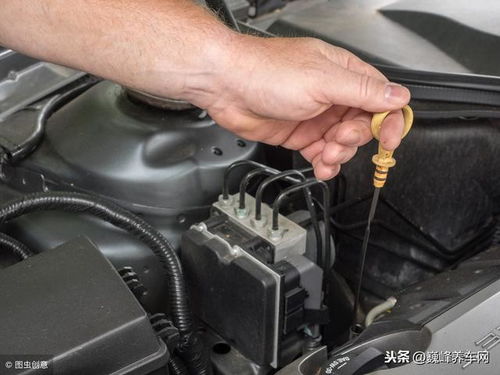 汽车机油应该有多少