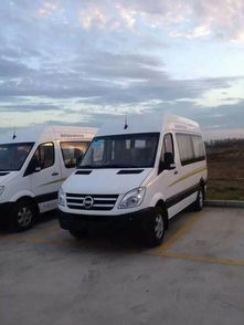 金龙电动汽车多少钱