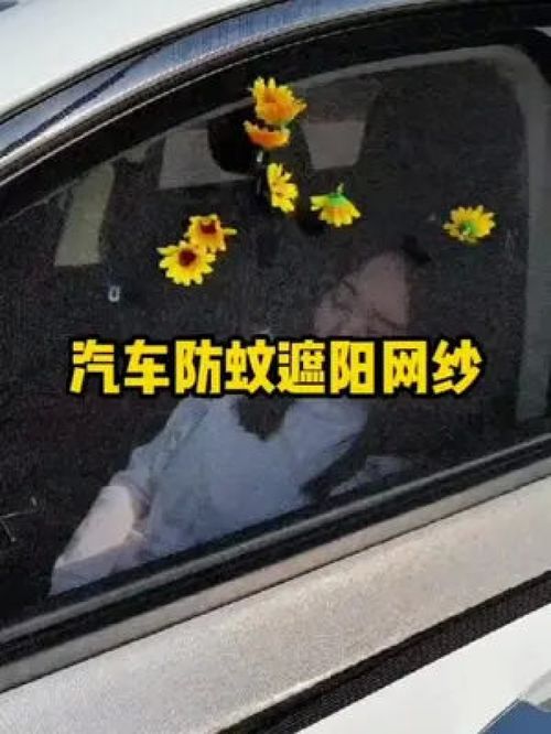 汽车遮阳纱窗价格多少 汽车遮阳纱窗价格多少