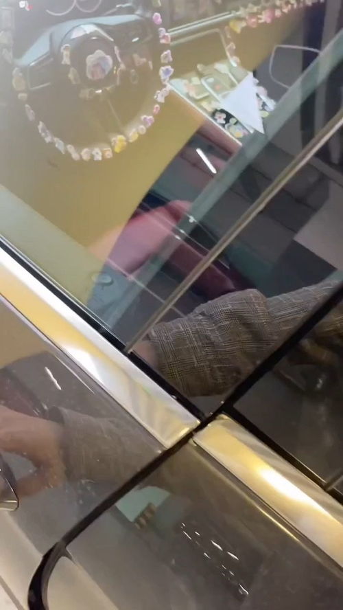 爱心牌汽车价格多少