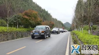 罗定至岺溪汽车票多少钱(罗定至岺溪汽车票价详解，费用、行程与更多信息)