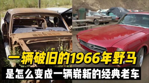 美国汽车都卖多少钱一辆(美国汽车市场，车辆价格概览)