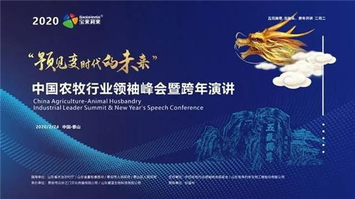 1335万人明天高考(明日决战，1335万高考生的时代挑战)