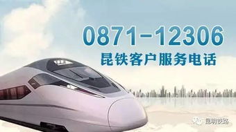 临沧到河口汽车票多少钱(临沧到河口汽车票价详解)