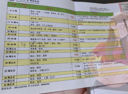 纳溪到咸阳汽车票多少钱(纳溪到咸阳汽车票价详解，行程、费用与选择)