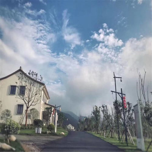清除汽车侧窗贴膜多少钱(清除汽车侧窗贴膜的费用分析)