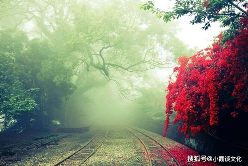 蔡澜曾谈及怎样面对亲友离世(面对亲友离世的智慧，从蔡澜的话语中寻找启示)