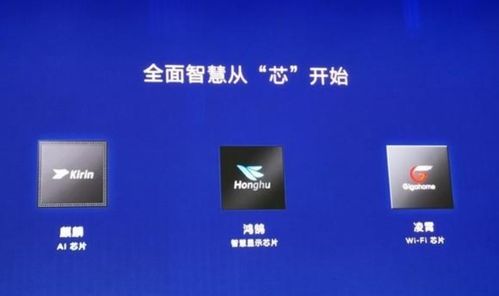 华为怎么防黑客攻击电脑(华为如何有效防止黑客攻击电脑)