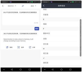 华为手机怎么翻译内容