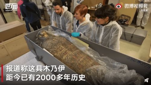 波兰地下挖出32具胎儿遗骸
