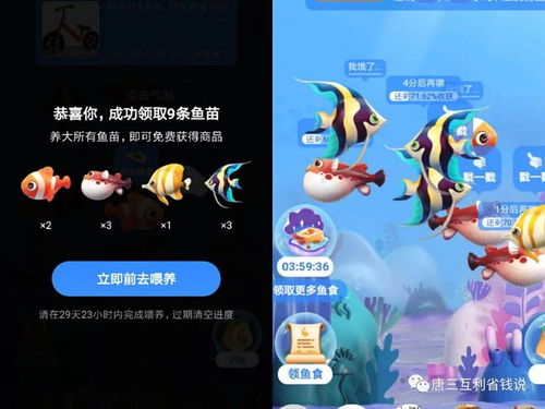 拼多多的小游戏大全攻略 VS ASP游戏攻略