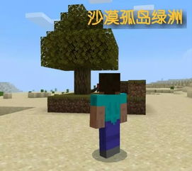 小游戏我的世界孤岛攻略 VS 毛毛游戏攻略