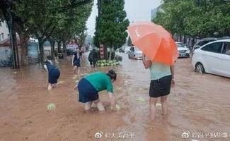 晋城暴雨车辆被淹冰箱在水中漂
