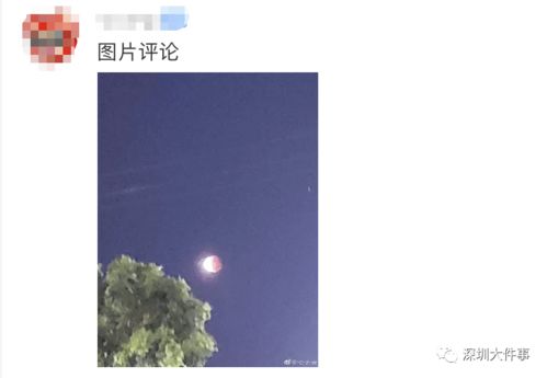 孙浩谈翻红：能演苟存忠就很幸福