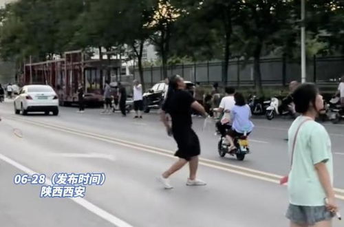 多人在马路中间打羽毛球 交警回应