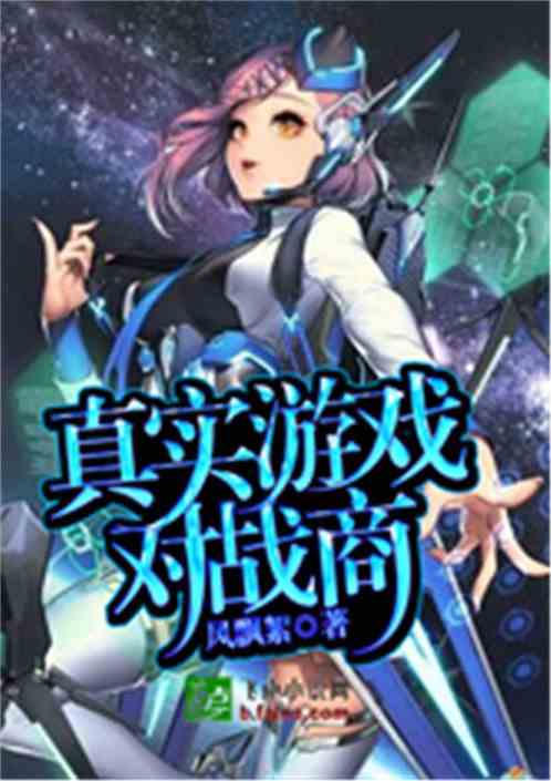 815游戏攻略 VS 失忆的少年游戏攻略小说