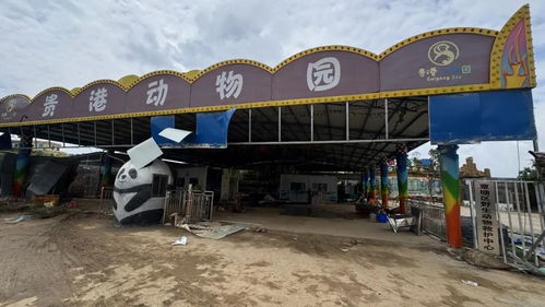 广西贵港动物园5人被困集装箱6小时