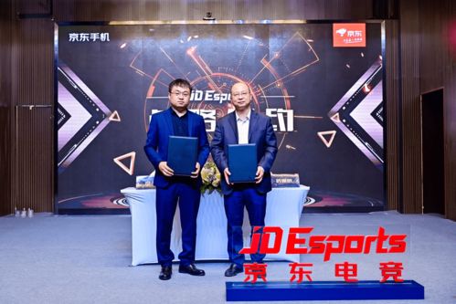 后宫攻略的游戏攻略 VS 手机游戏跷跷板攻略大全