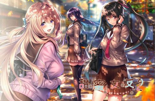fategalgame游戏攻略 VS 晶游戏攻略